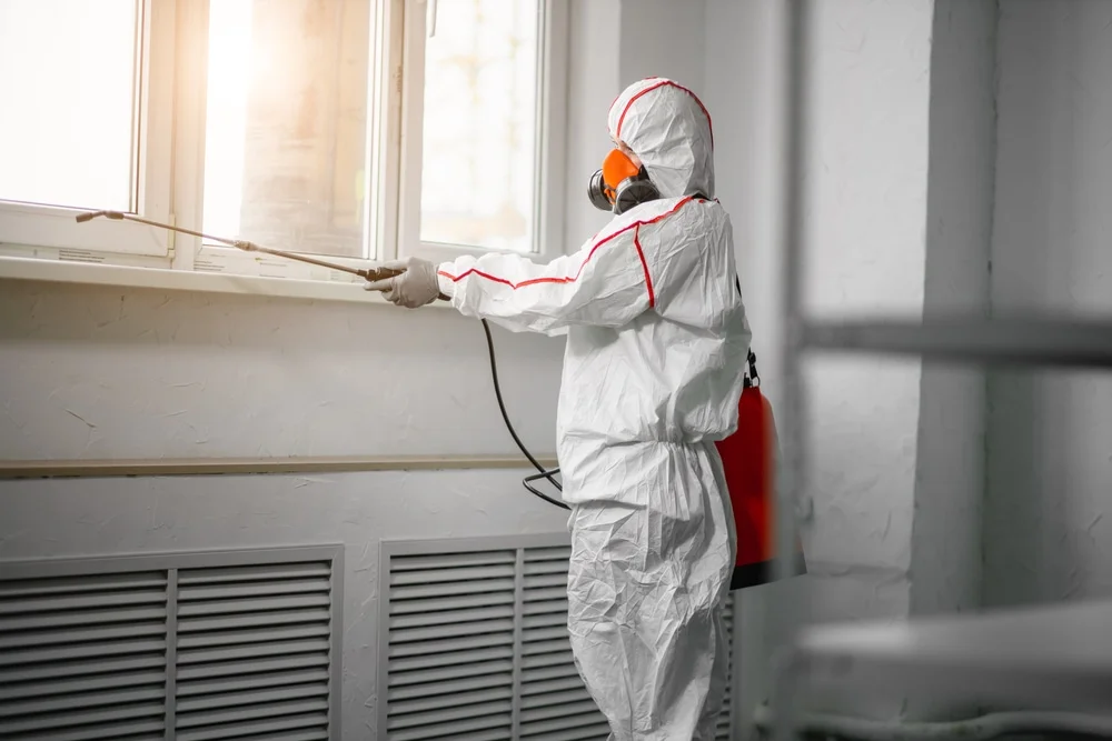 Professional mold remediation services in Creola, AL
